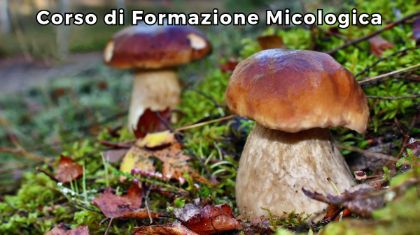 Manifestazione d’interesse per l’attivazione del Corso per Micologi nel biennio 2025-2026. Manifestazione d’interesse per l’attivazione del Corso per Micologi nel biennio 2025-2026.