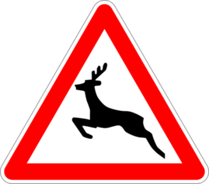 Incidente stradale causato da animali selvatici