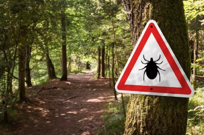 Campagna comunicazione arbovirosi Campagna comunicazione arbovirosi