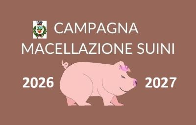 macellazione suini2