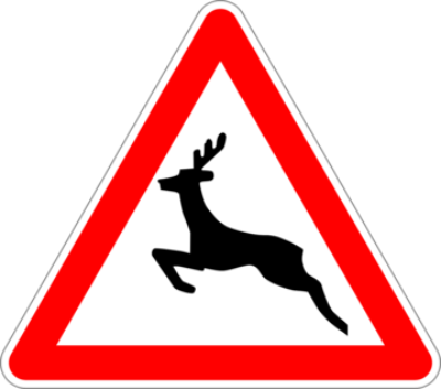 fauna-selvatica-img