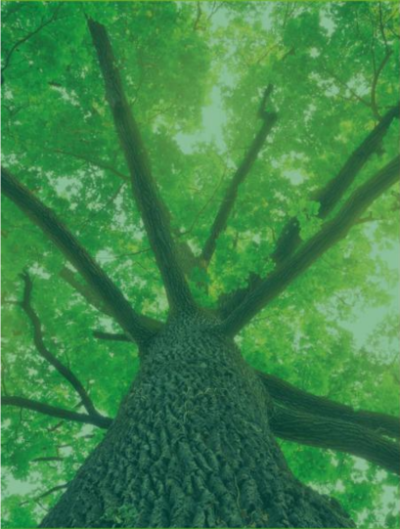 Logo Quercon