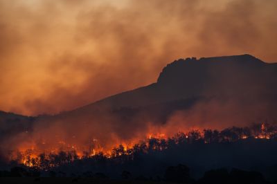 incendi boschivi