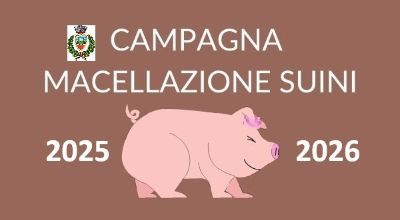 macellazione suini2 macellazione suini2