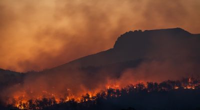 incendi boschivi