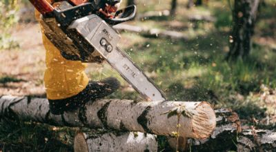 Taglio alberi motosega