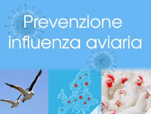 influenza-Aviaria2