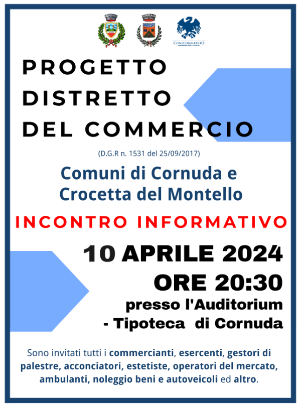 Progetto distretto del commercio def