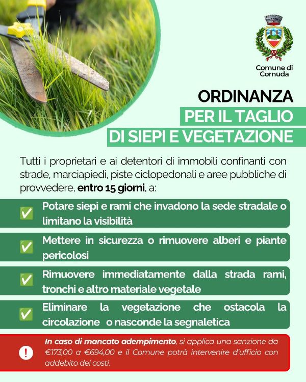 Volantino taglio siepi